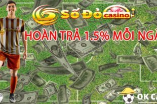 hoàn trả 1.5% mỗi ngày