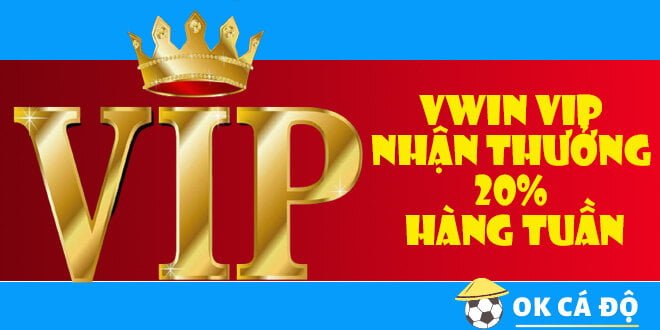 Vwin VIP