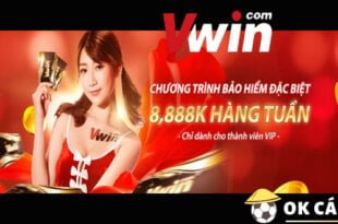 Vwin bảo hiểm VIP khủng đến 8,888k mỗi tuần