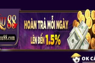 Mu88 hoàn trả mỗi ngày siêu hấp dẫn đến 1.5%