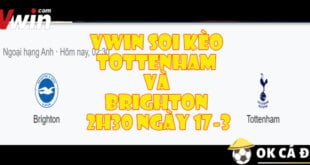 VWIN Soi Kèo Tottenham và Brighton 2h30 ngày 17-3