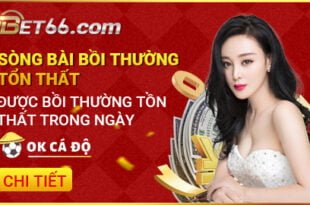 BẢO HIỂM CƯỢC THUA TẠI CASINO