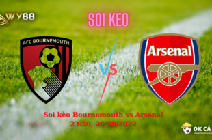 Soi kèo